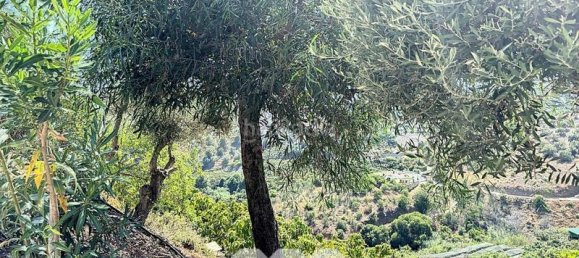 4 bedrooms Villa in Frigiliana, Spain No. 56402 50