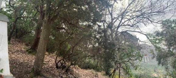 4 rooms Apartment in Massarosa, Italy No. 284004 3