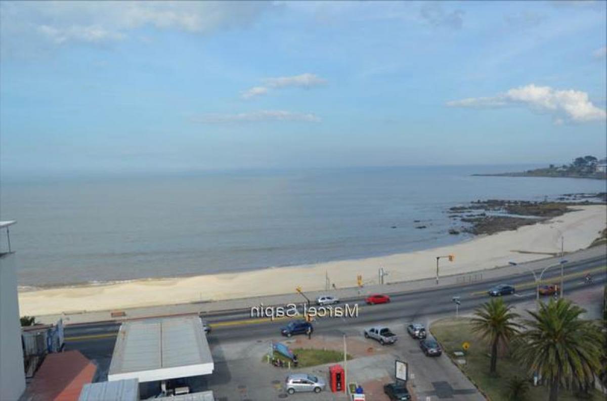 3 bedrooms Apartment in Montevideo, Uruguay No. 7890