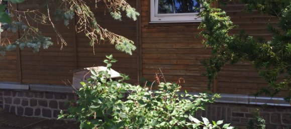  قطعة أرض في Potsdam-Mittelmark, Germany رقم 33382 5