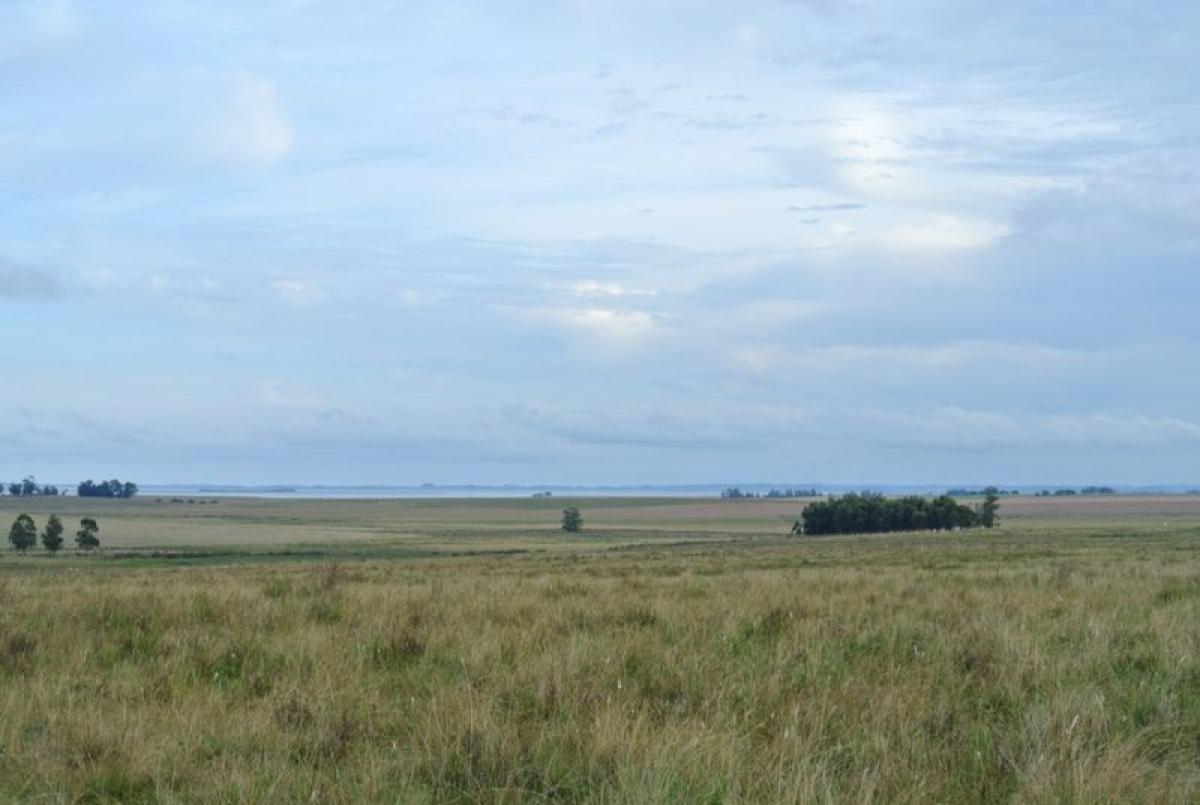  Farm in Rocha, Uruguay No. 13934