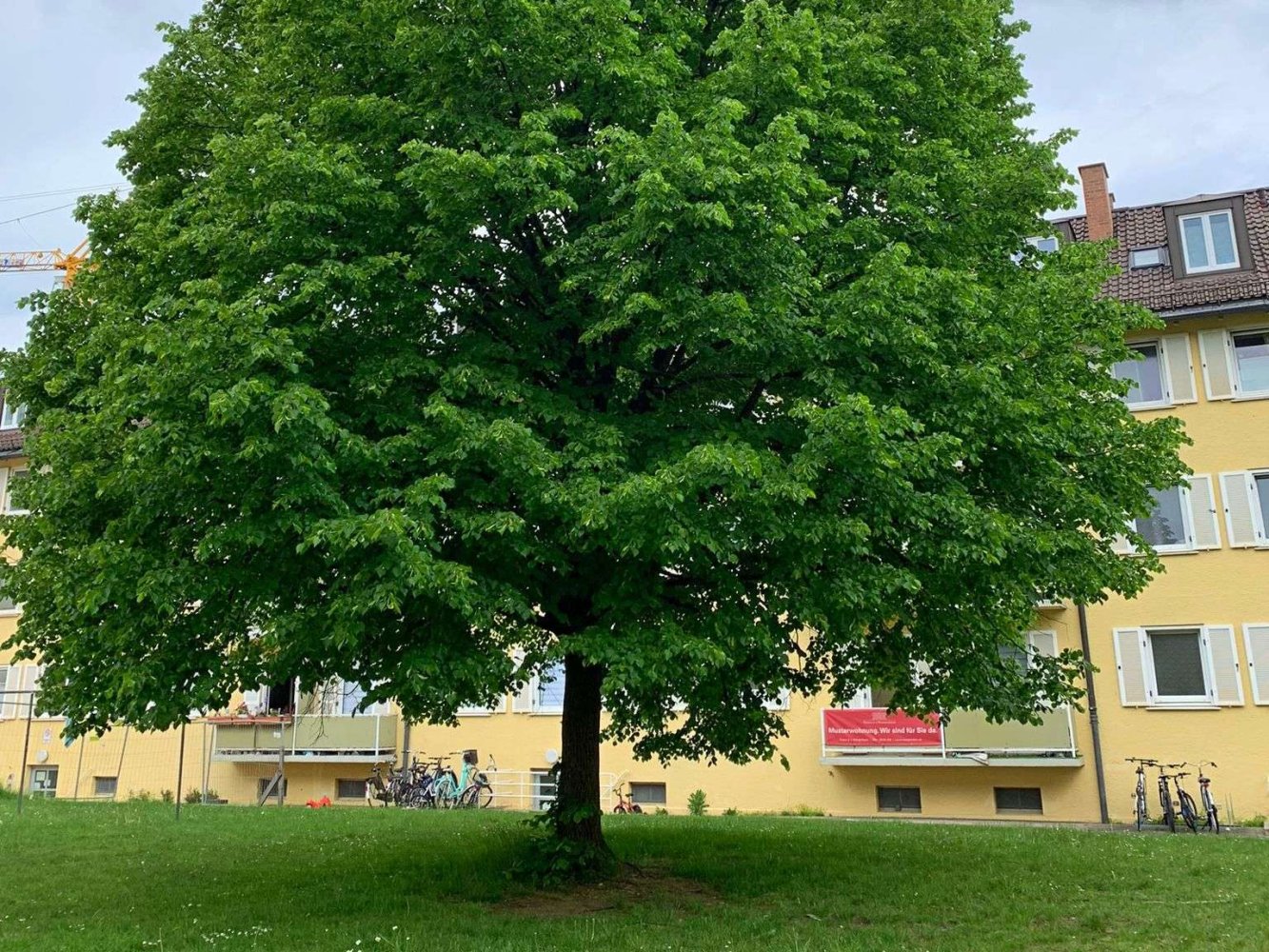 2 chambres Appartement à Munich, Germany No. 129794