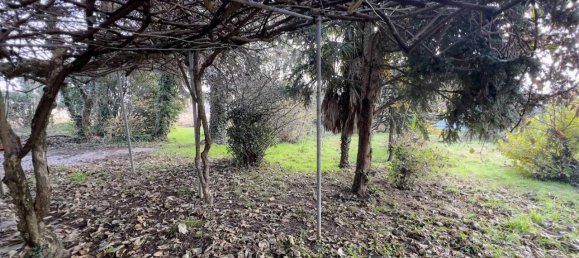 5-Zimmer Haus in Bellinzago Novarese, Italy, Nr. 74206 35