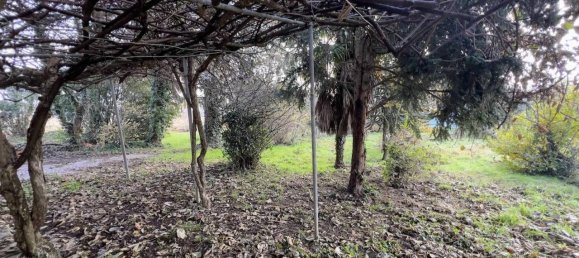 5-Zimmer Haus in Bellinzago Novarese, Italy, Nr. 74206 32