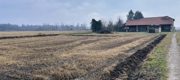 5-Zimmer Haus in Bellinzago Novarese, Italy, Nr. 74206 25