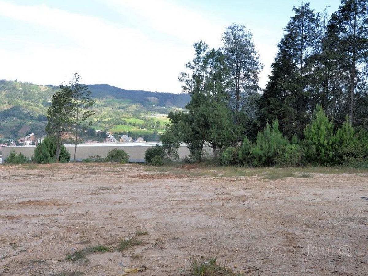 Земельный участок в Антьокия, Колумбия № 237