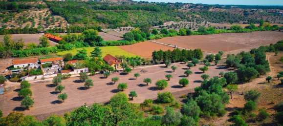 Casa T7 em Torres Novas, Portugal N.º 142154 46