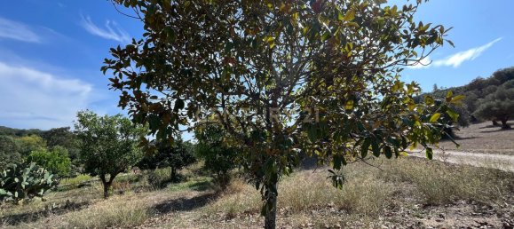 Casa T7 em Torres Novas, Portugal N.º 142154 12