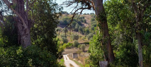Casa T7 em Torres Novas, Portugal N.º 142154 16