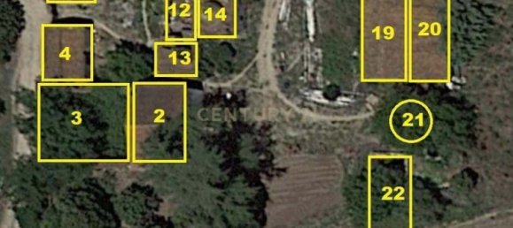 Casa T7 em Torres Novas, Portugal N.º 142154 6