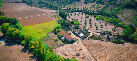 Casa T7 em Torres Novas, Portugal N.º 142154 42