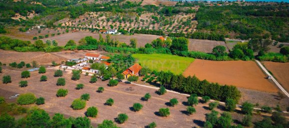 Casa T7 em Torres Novas, Portugal N.º 142154 50