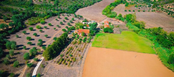 Casa T7 em Torres Novas, Portugal N.º 142154 48