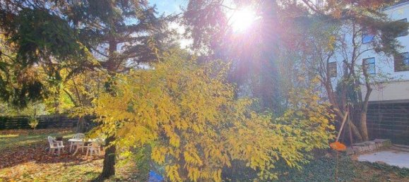 Studio à Vienna, Austria No. 38167 4