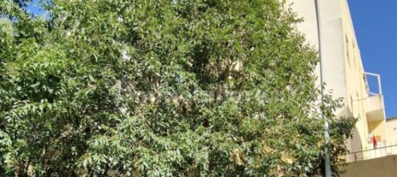 2 bedrooms Apartment in Alghero, Italy No. 176148 29