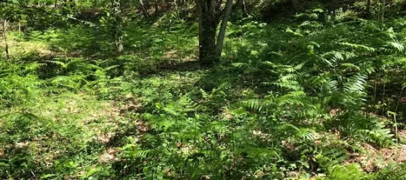 Terreno en Gondomar, Portugal 2200 m² No. 70541 4