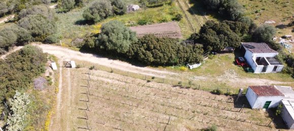 190000m² Land in Luogosanto, Italy No. 255730 13