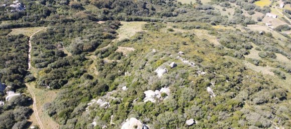 190000m² Land in Luogosanto, Italy No. 255730 9