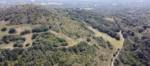 190000m² Land in Luogosanto, Italy No. 255730 7