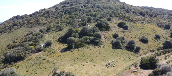 190000m² Land in Luogosanto, Italy No. 255730 10