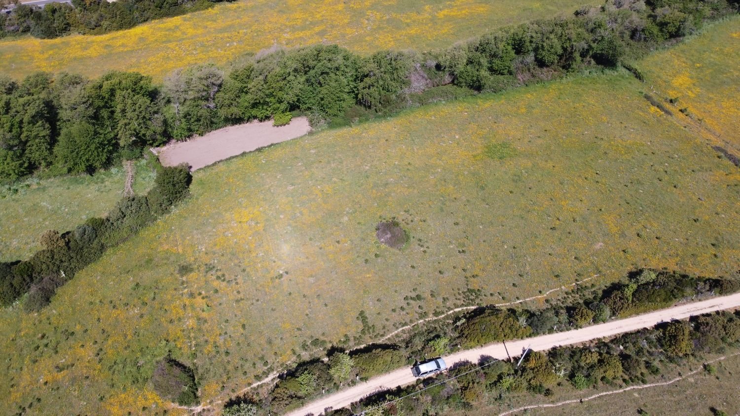 190000m² Land in Luogosanto, Italy No. 255730