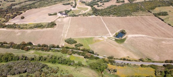 190000m² Land in Luogosanto, Italy No. 255730 5