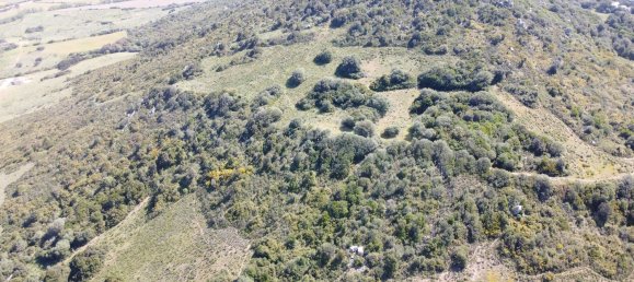 190000m² Land in Luogosanto, Italy No. 255730 8
