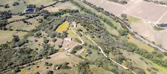 190000m² Land in Luogosanto, Italy No. 255730 3