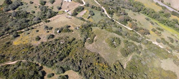 190000m² Land in Luogosanto, Italy No. 255730 15