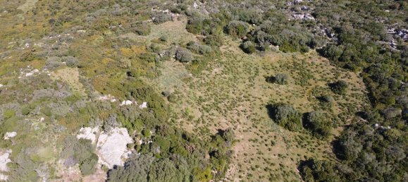 190000m² Land in Luogosanto, Italy No. 255730 12