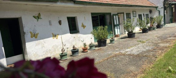 Terrain à Kittsee, Austria No. 150158 5