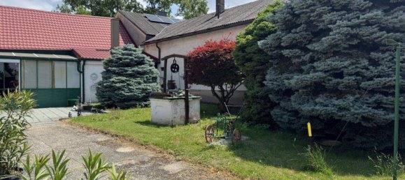 Terrain à Kittsee, Austria No. 150158 6