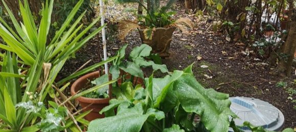 Casa de 6 divisões em Loro Ciuffenna, Italy N.º 73451 6