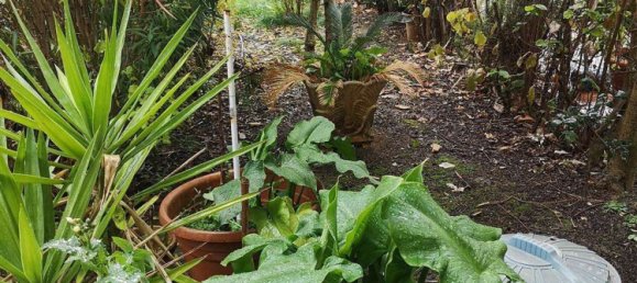 Casa de 6 divisões em Loro Ciuffenna, Italy N.º 73451 10