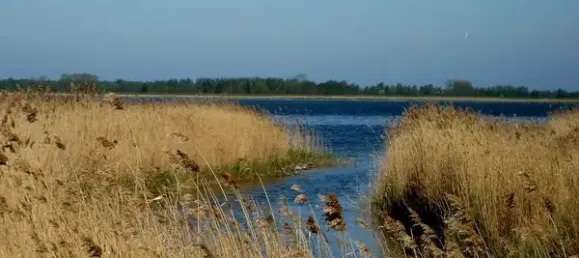  Land in Vorpommern-Rugen, Germany No. 349426 5