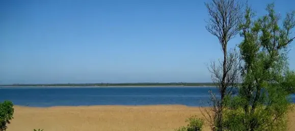  Land in Vorpommern-Rugen, Germany No. 349426 6