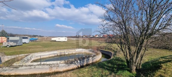 Grundstück in Markgrafneusiedl, Austria 42160m², Nr. 246724 3