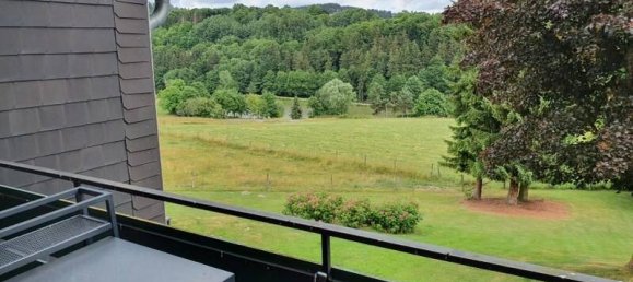 Studio in Waldeck-Frankenberg, Germany No. 172593 9