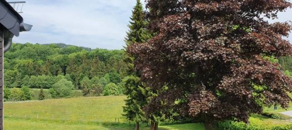 Studio in Waldeck-Frankenberg, Germany No. 172593 4