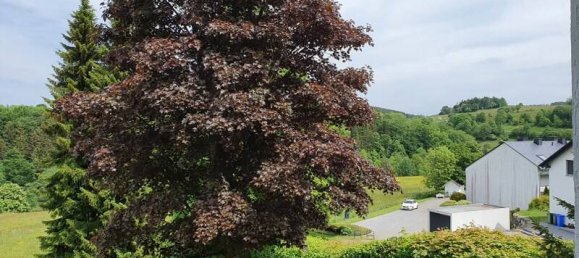 Studio in Waldeck-Frankenberg, Germany No. 172593 3