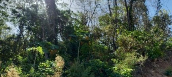 Земельный участок в Никоя, Коста-Рика № 1676 3