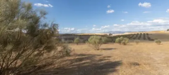  Land in Granada, Spain No. 175261 12