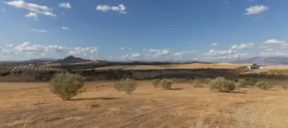  Land in Granada, Spain No. 175261 10