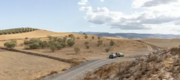  Land in Granada, Spain No. 175261 11