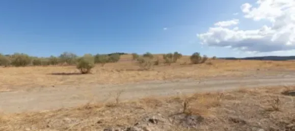  Land in Granada, Spain No. 175261 23