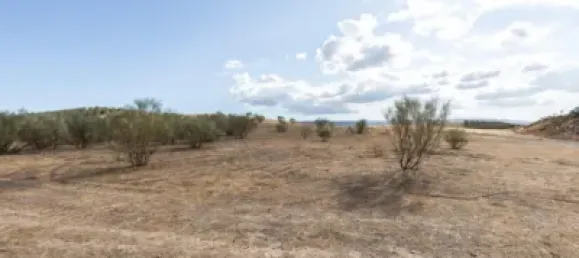  Land in Granada, Spain No. 175261 4