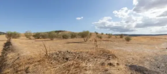  Land in Granada, Spain No. 175261 24