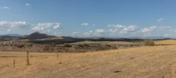  Land in Granada, Spain No. 175261 15