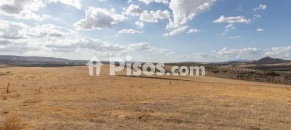  Land in Granada, Spain No. 175261 26