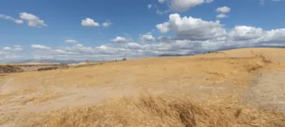  Land in Granada, Spain No. 175261 17